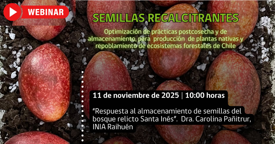 Banner de webinar 11 noviembre para web