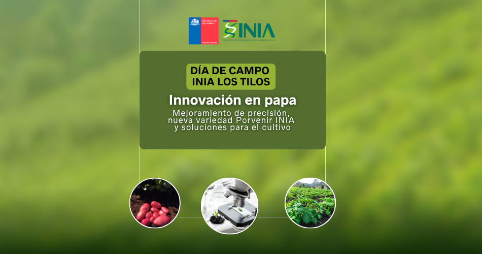 Dia de campo Papa Los Tilos 2025