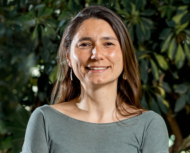 Danae Riquelme Toledo