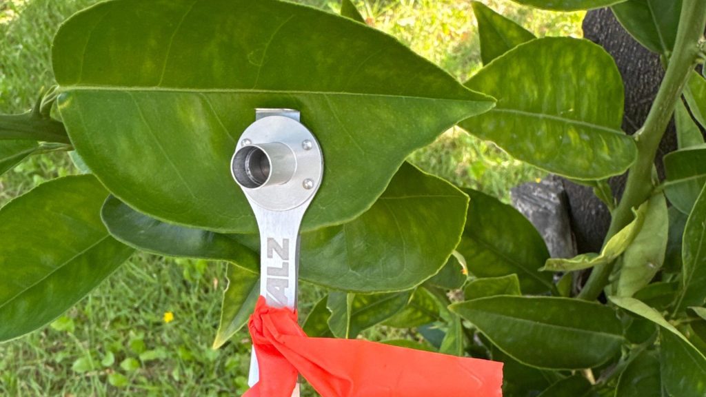 Fisiología vegetal