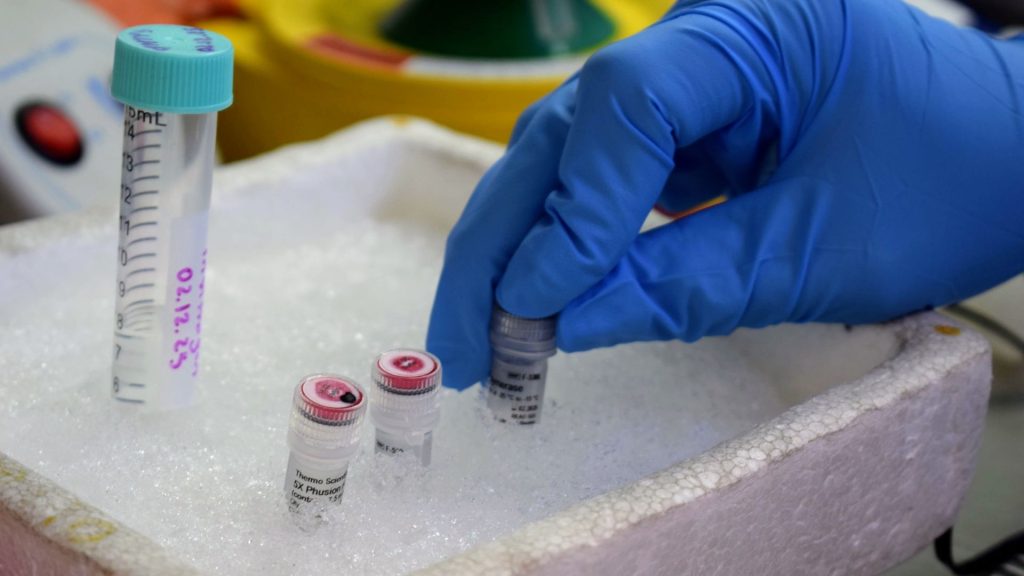 Biotecnología Genómica