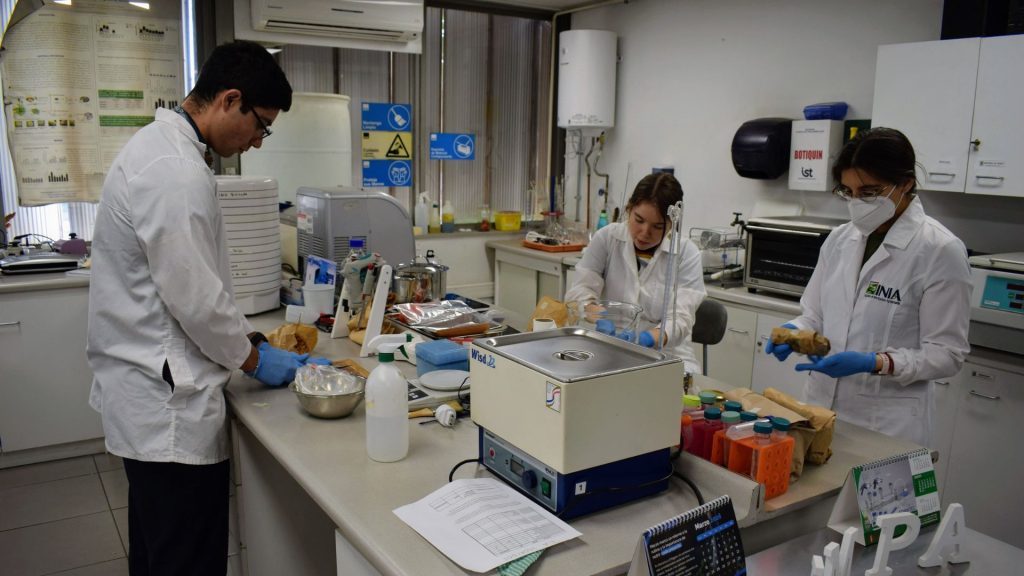 Materias primas y alimentos