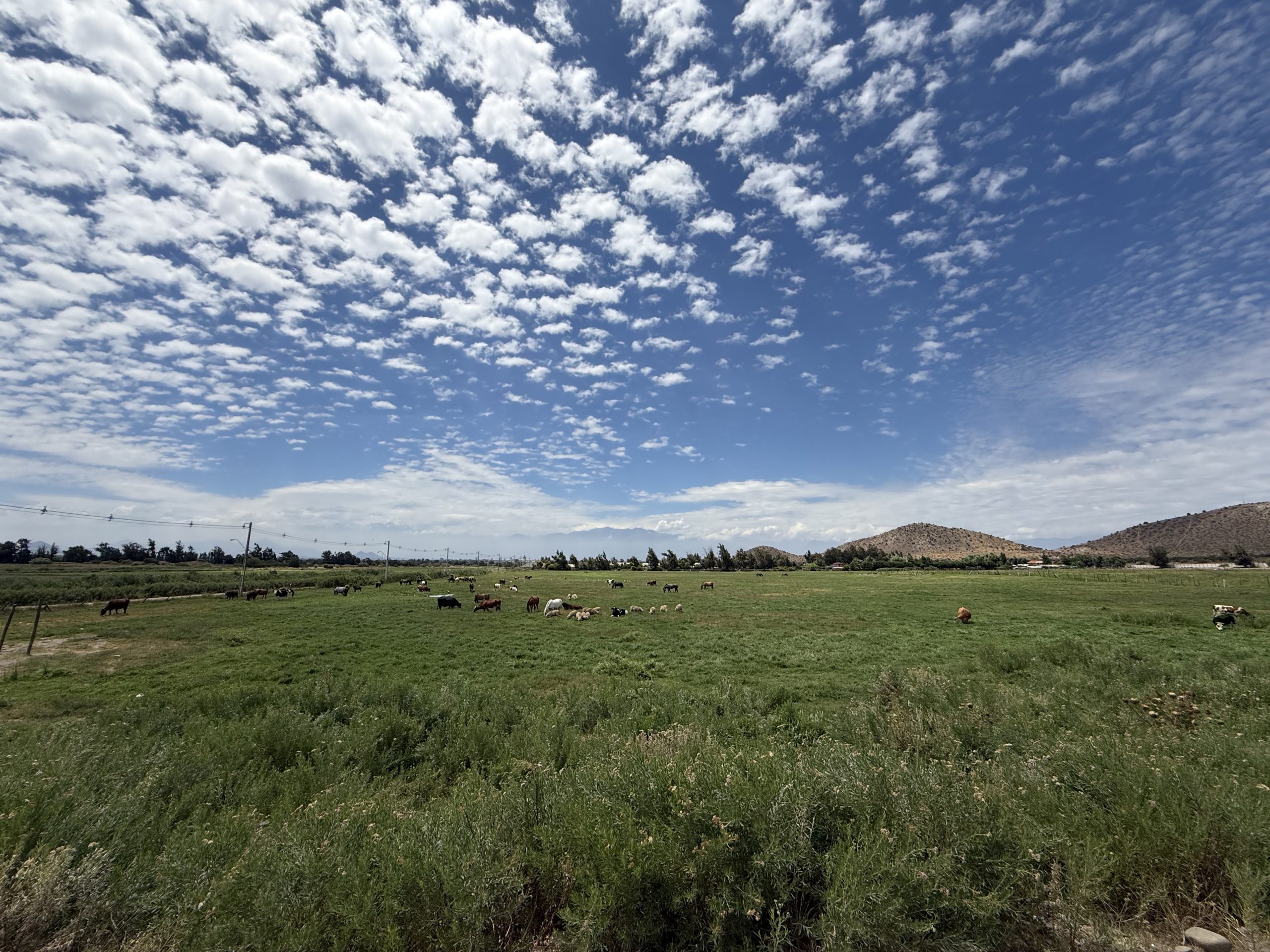 Cielo azul con nubes sobre paisaje agrícola de la Región Metropolitana