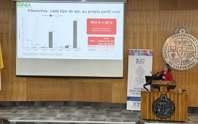Mónica Madariaga destaca el potencial del ajo chileno en Diario Frutícola