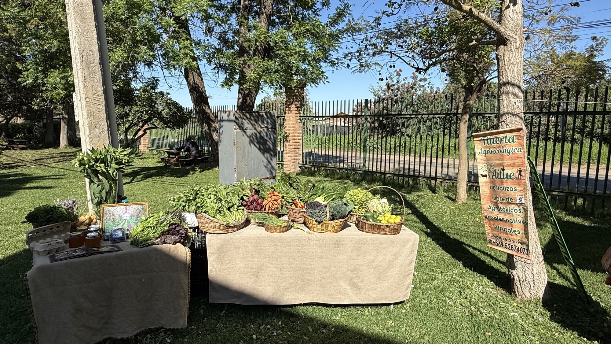 Stand de Huerta Agroecológica Aitué en el encuentro