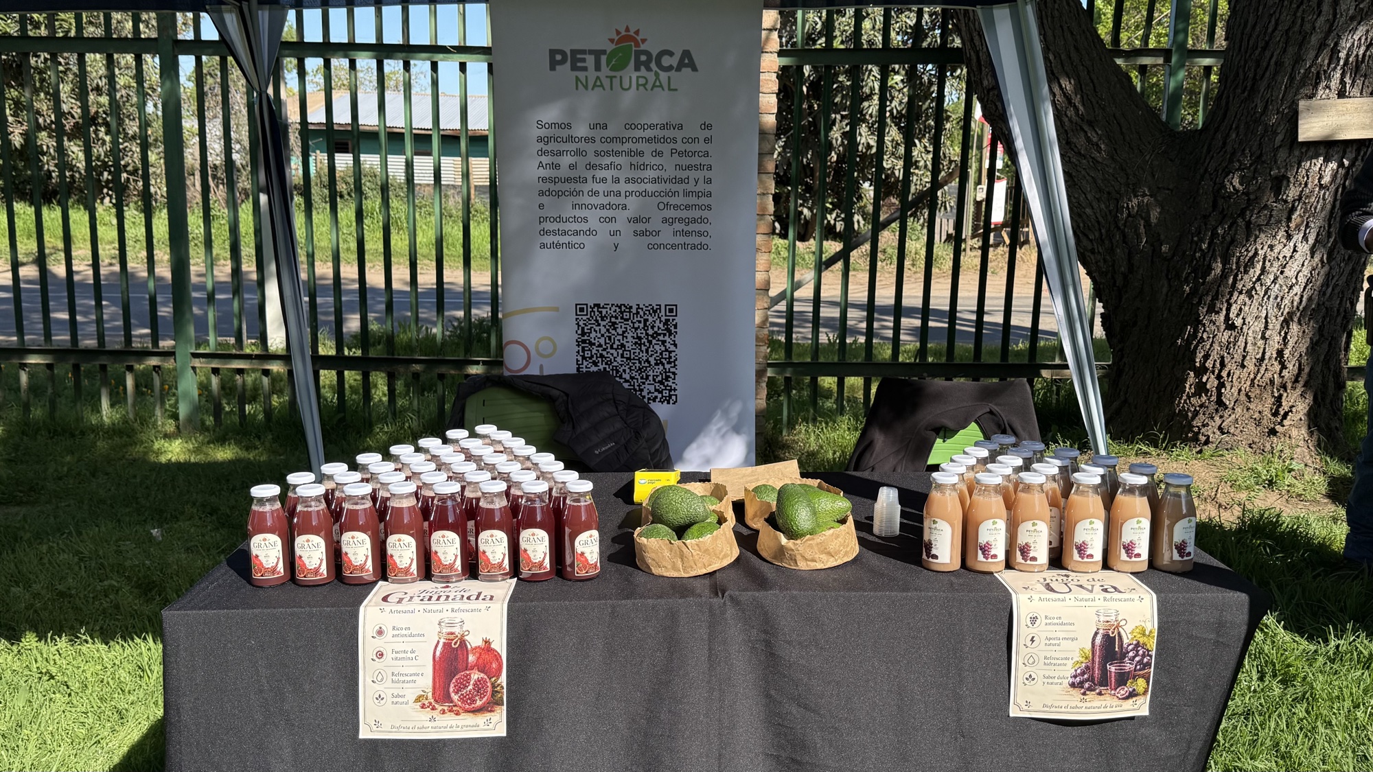 Stand de Cooperativa de Producción Petorca Natural en el encuentro