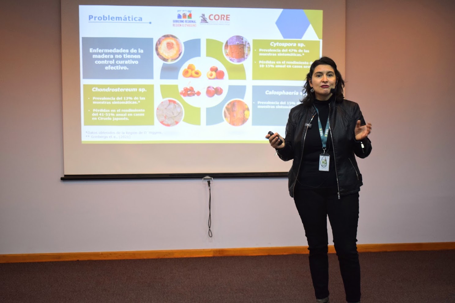 Seminario de inicio