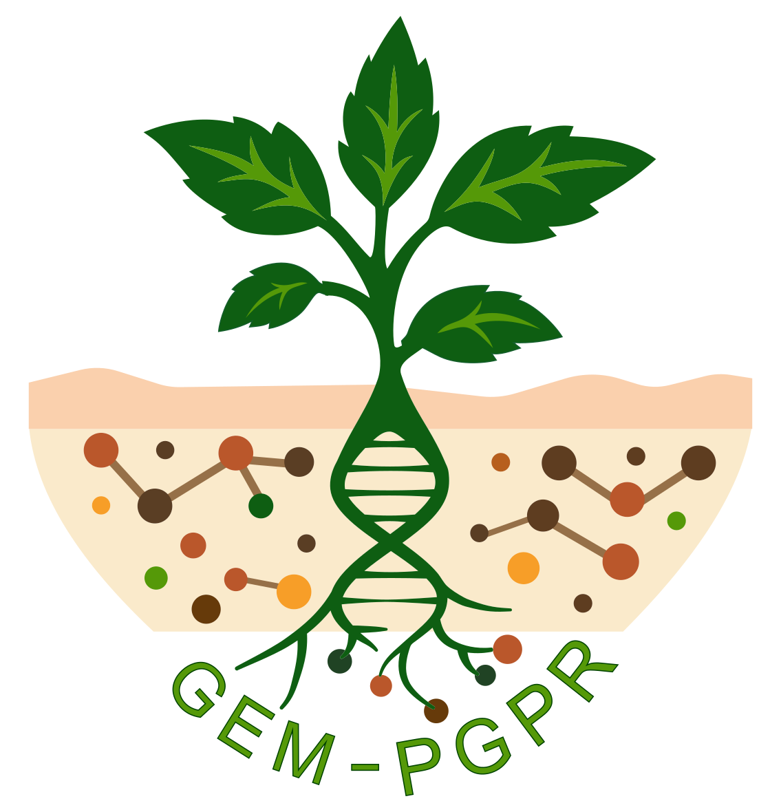 Proyecto Anillo GEM-PGPR