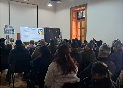 Seminario de inicio